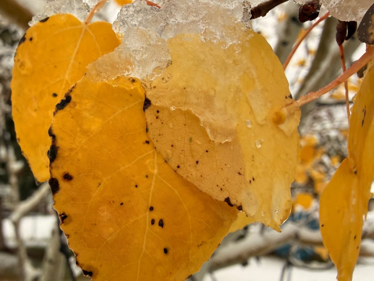 Time is not&nbsp;painless