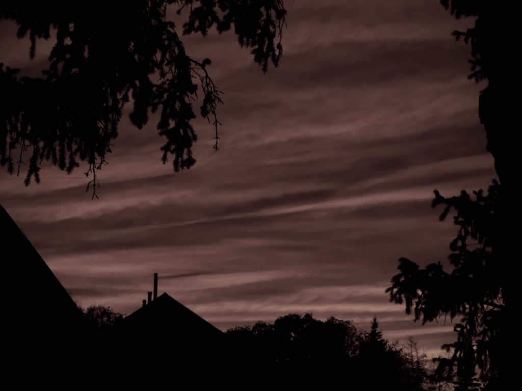 Black and white sunrise