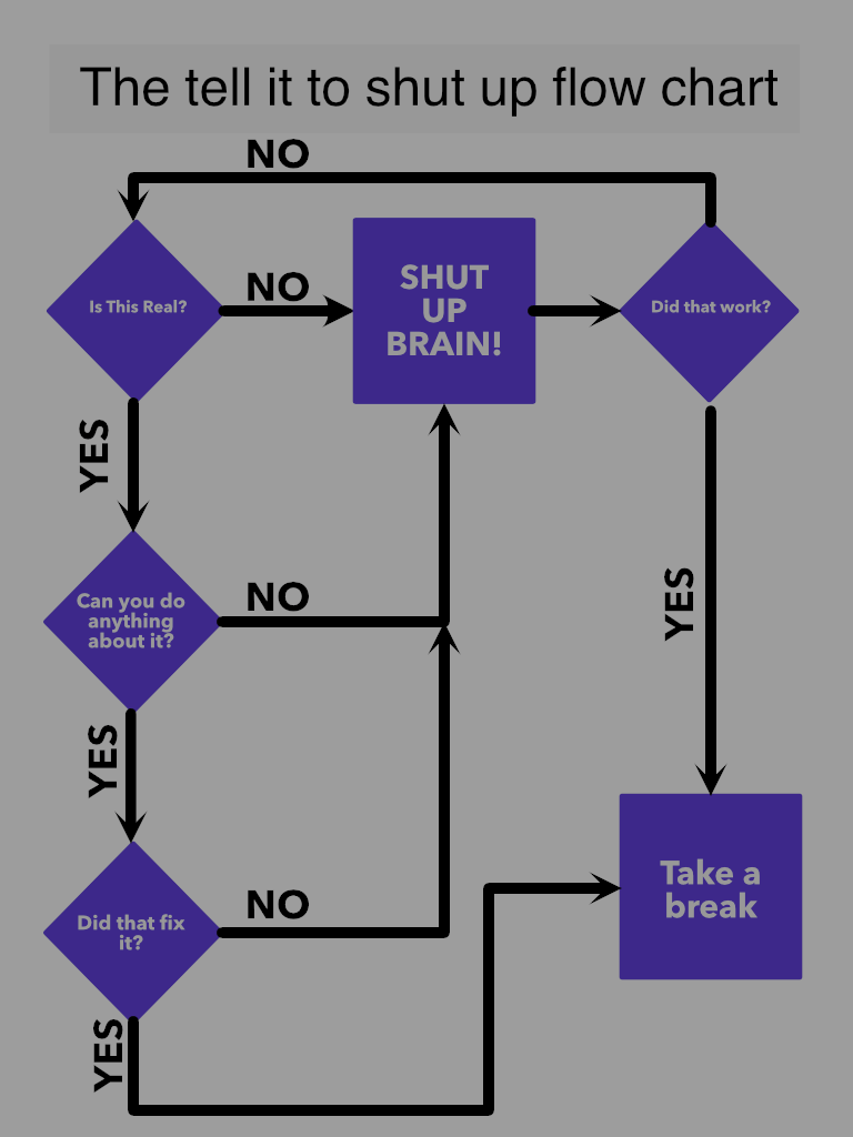 Flow chart that is basically change the things I can and all that